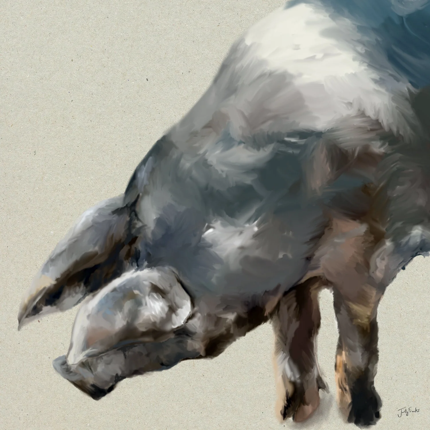 Saddleback Pig Giclee Art Print, Hand-Drawn Farm Animal